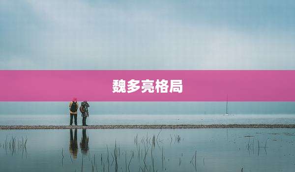 魏多亮格局