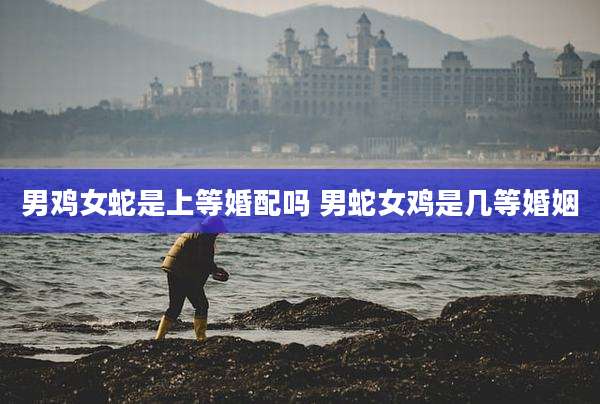 男鸡女蛇是上等婚配吗 男蛇女鸡是几等婚姻