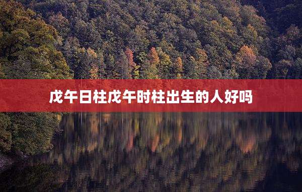 戊午日柱戊午时柱出生的人好吗