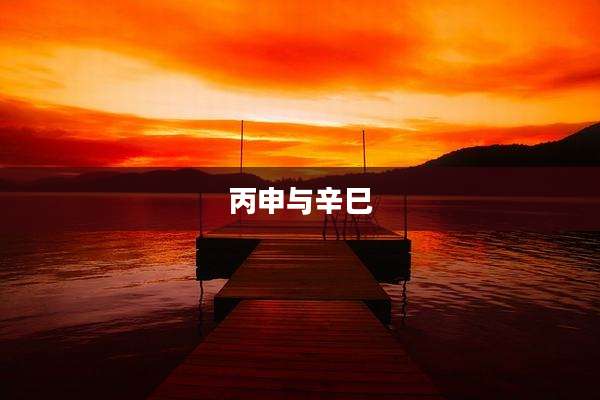 丙申与辛巳