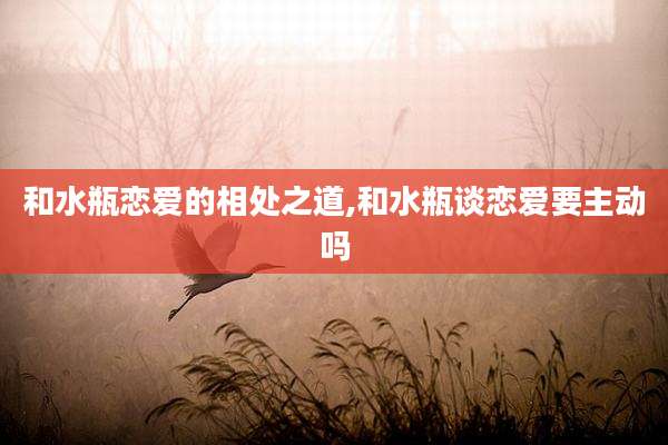 和水瓶恋爱的相处之道,和水瓶谈恋爱要主动吗