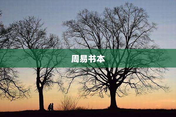 周易书本