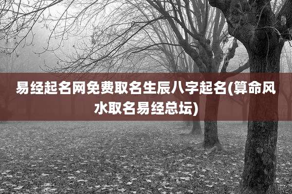 易经起名网免费取名生辰八字起名(算命风水取名易经总坛)