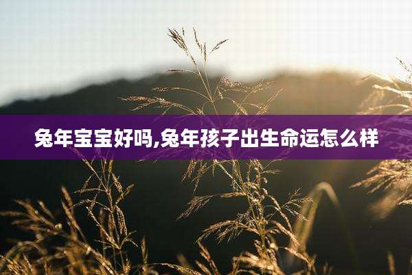 兔年宝宝好吗,兔年孩子出生命运怎么样