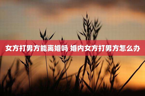 女方打男方能离婚吗 婚内女方打男方怎么办