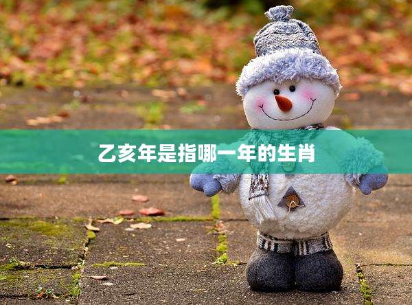 乙亥年是指哪一年的生肖