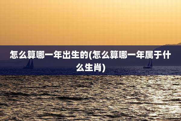 怎么算哪一年出生的(怎么算哪一年属于什么生肖)