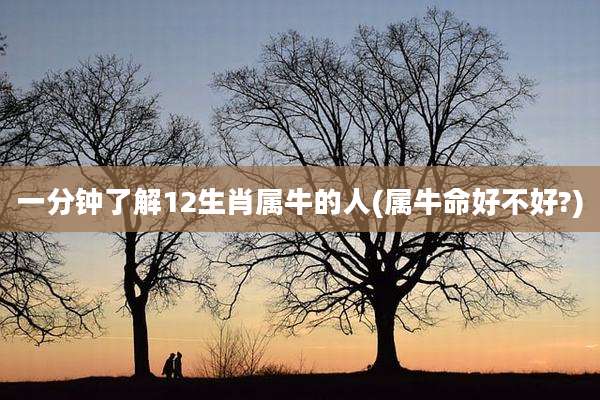 一分钟了解12生肖属牛的人(属牛命好不好?)