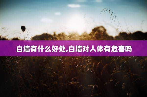 白墙有什么好处,白墙对人体有危害吗
