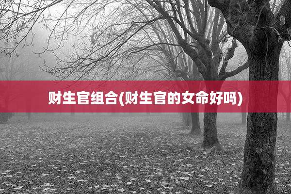 财生官组合(财生官的女命好吗)