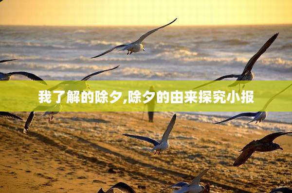 我了解的除夕,除夕的由来探究小报