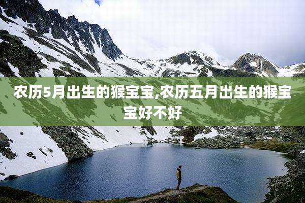农历5月出生的猴宝宝,农历五月出生的猴宝宝好不好