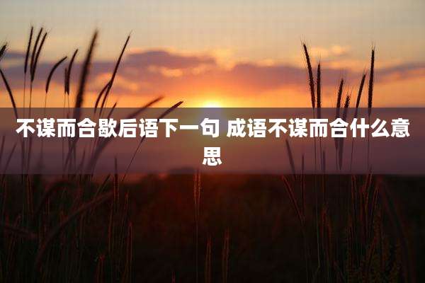 不谋而合歇后语下一句 成语不谋而合什么意思
