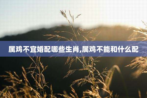 属鸡不宜婚配哪些生肖,属鸡不能和什么配