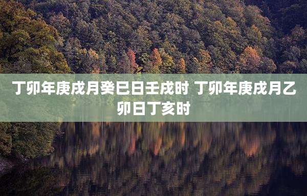 丁卯年庚戌月癸巳日壬戌时 丁卯年庚戌月乙卯日丁亥时