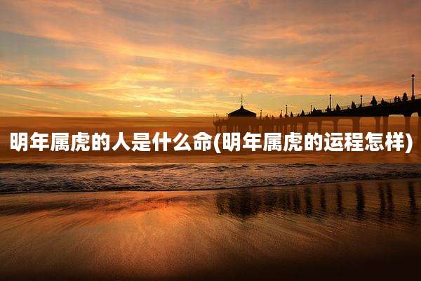 明年属虎的人是什么命(明年属虎的运程怎样)