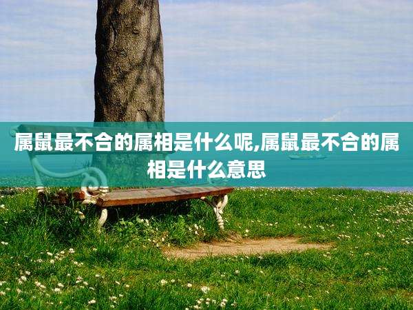 属鼠最不合的属相是什么呢,属鼠最不合的属相是什么意思