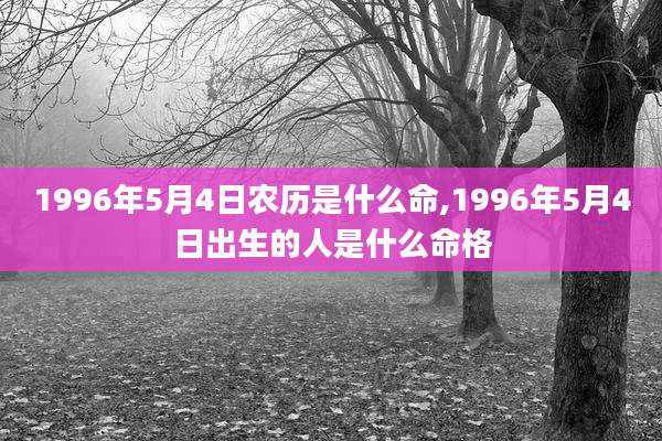 1996年5月4日农历是什么命,1996年5月4日出生的人是什么命格