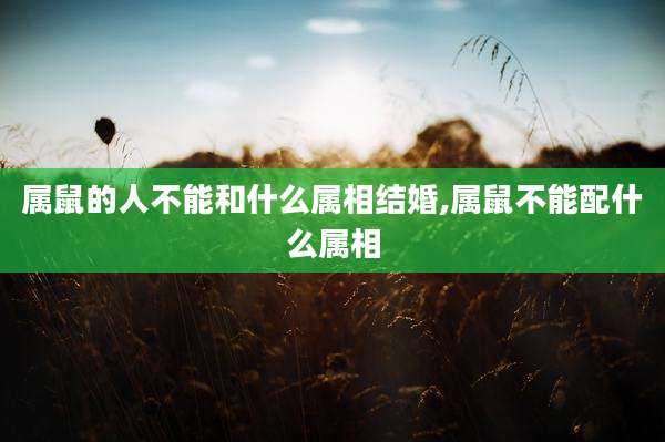 属鼠的人不能和什么属相结婚,属鼠不能配什么属相