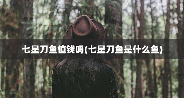七星刀鱼值钱吗(七星刀鱼是什么鱼)