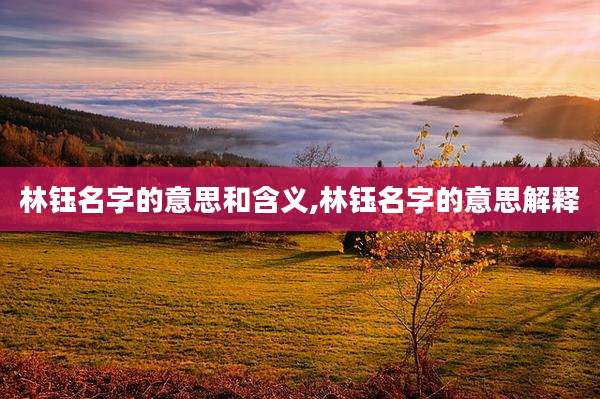 林钰名字的意思和含义,林钰名字的意思解释