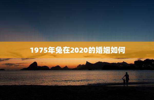 1975年兔在2020的婚姻如何