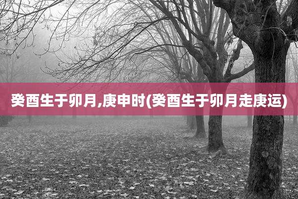 癸酉生于卯月,庚申时(癸酉生于卯月走庚运)
