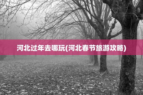 河北过年去哪玩(河北春节旅游攻略)