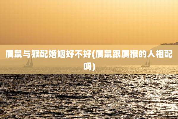 属鼠与猴配婚姻好不好(属鼠跟属猴的人相配吗)