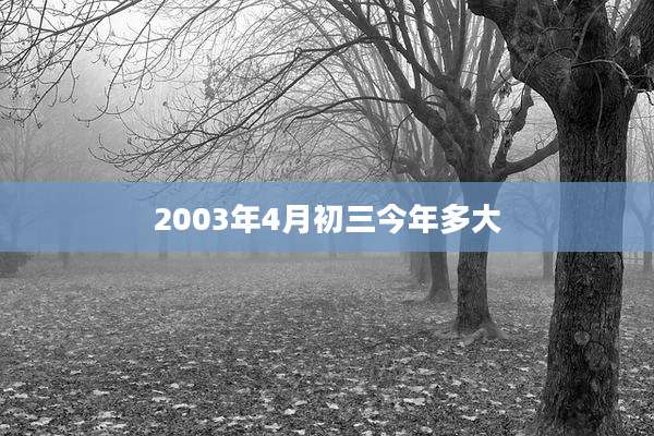 2003年4月初三今年多大