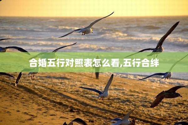 合婚五行对照表怎么看,五行合绊