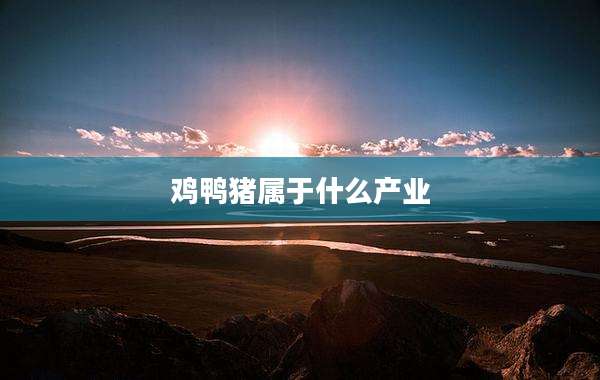 鸡鸭猪属于什么产业