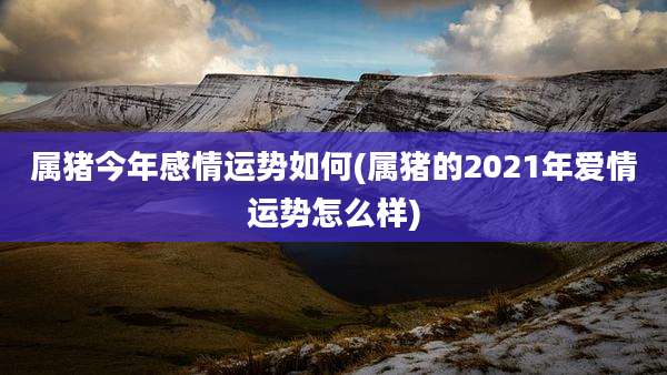 属猪今年感情运势如何(属猪的2021年爱情运势怎么样)