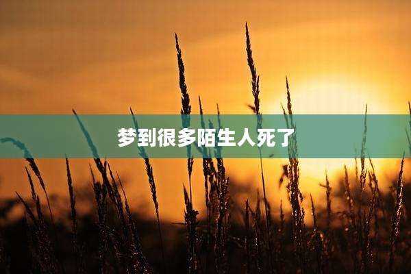 梦到很多陌生人死了