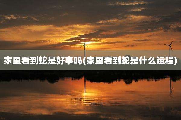家里看到蛇是好事吗(家里看到蛇是什么运程)