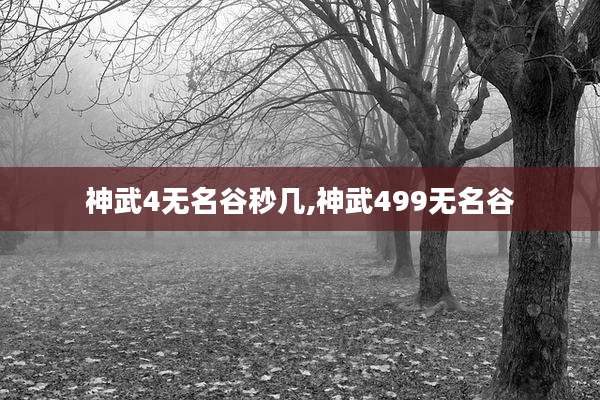 神武4无名谷秒几,神武499无名谷