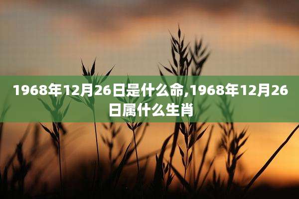 1968年12月26日是什么命,1968年12月26日属什么生肖