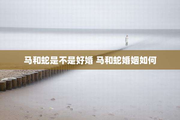 马和蛇是不是好婚 马和蛇婚姻如何