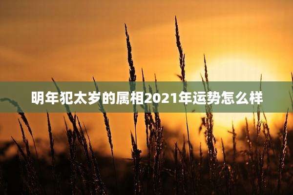 明年犯太岁的属相2021年运势怎么样