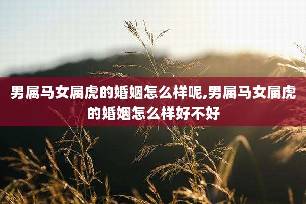 男属马女属虎的婚姻怎么样呢,男属马女属虎的婚姻怎么样好不好