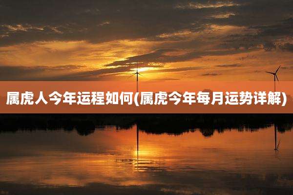 属虎人今年运程如何(属虎今年每月运势详解)