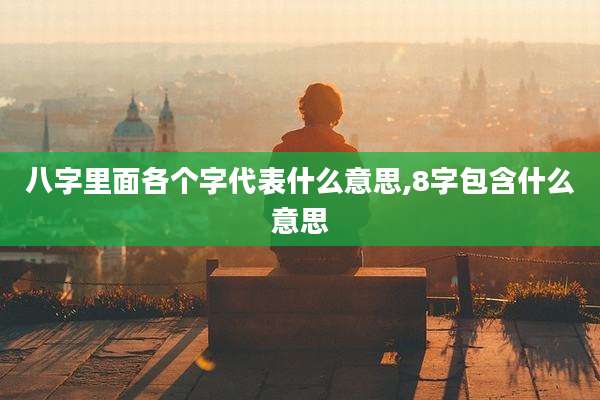 八字里面各个字代表什么意思,8字包含什么意思