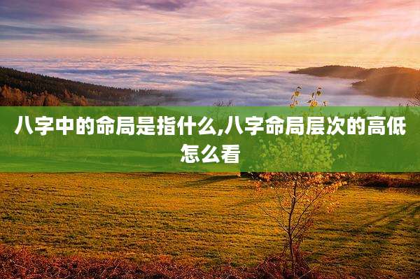 八字中的命局是指什么,八字命局层次的高低怎么看