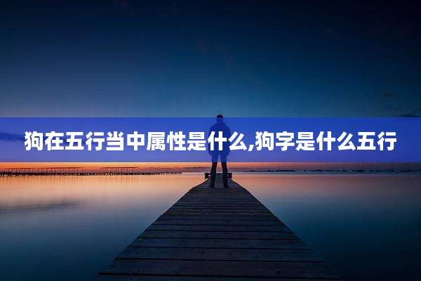 狗在五行当中属性是什么,狗字是什么五行