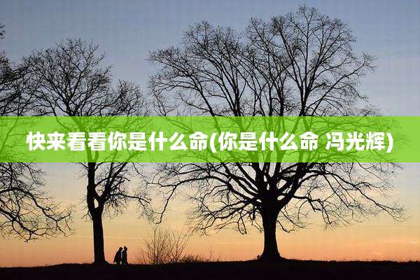 快来看看你是什么命(你是什么命 冯光辉)