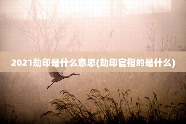 2021劫印是什么意思(劫印官指的是什么)