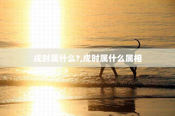 戌时属什么?,戌时属什么属相