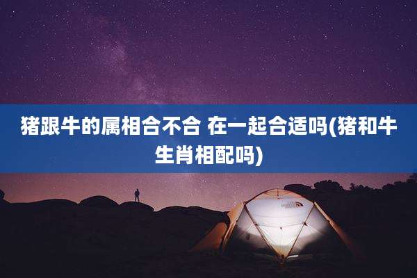 猪跟牛的属相合不合 在一起合适吗(猪和牛生肖相配吗)