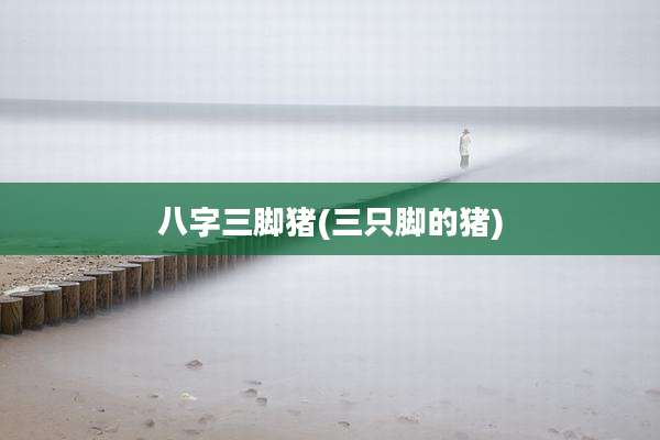 八字三脚猪(三只脚的猪)
