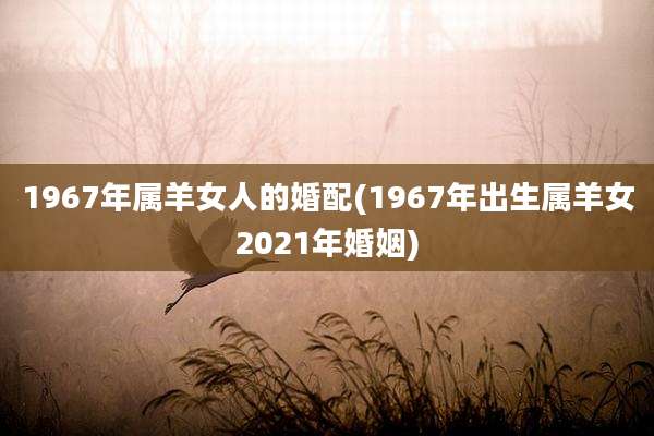 1967年属羊女人的婚配(1967年出生属羊女2021年婚姻)
